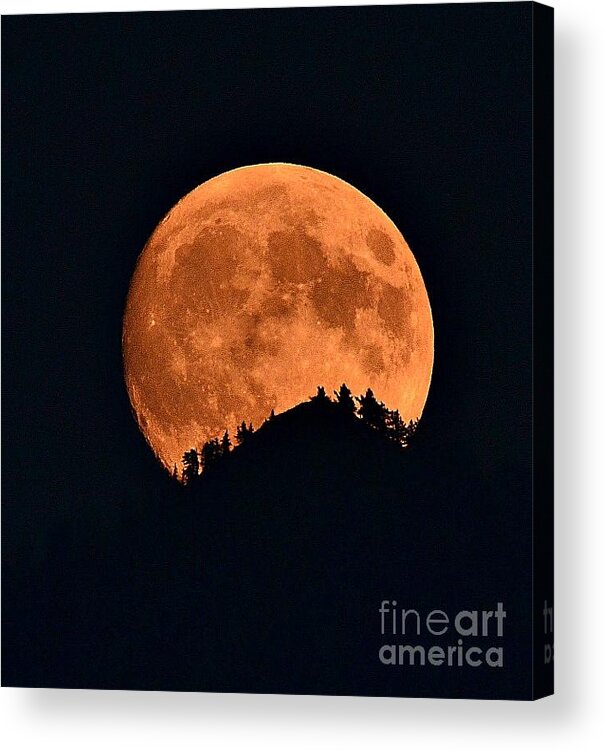 Full Moon Acrylic Print featuring the photograph Bad Moon Rising by Dorrene BrownButterfield