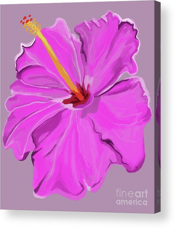 Beautiful Pink Hibiscus Acrylic Print featuring the digital art Beautiful Pink Hibiscus by Annette M Stevenson