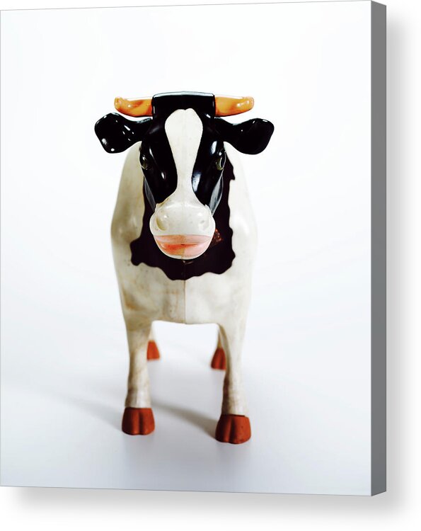 Agriculture Acrylic Print featuring the drawing Black and White Cow by CSA Images