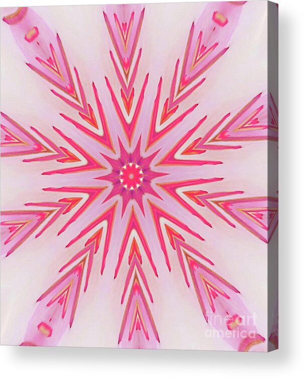 Pink Acrylic Print featuring the digital art Darts Of Pink by Tracey Lee Cassin