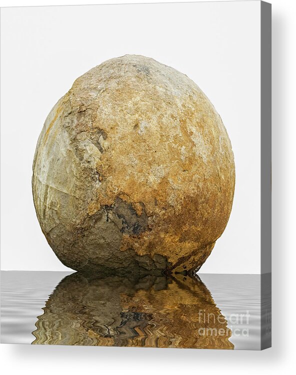 Balls Acrylic Print featuring the photograph Famous Moeraki boulder isolated by Patricia Hofmeester