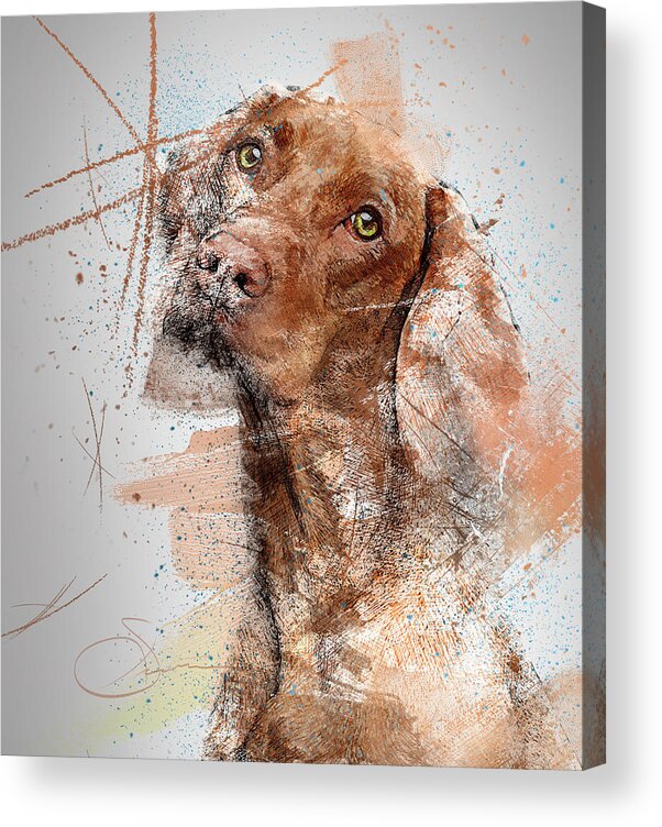 Dog Acrylic Print featuring the digital art Hound Dog by Rob Smith's