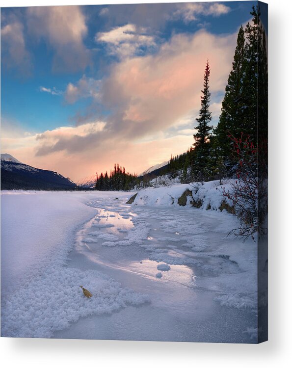Winter Acrylic Print featuring the photograph Icefields Parkway Winter Morning by Dan Jurak