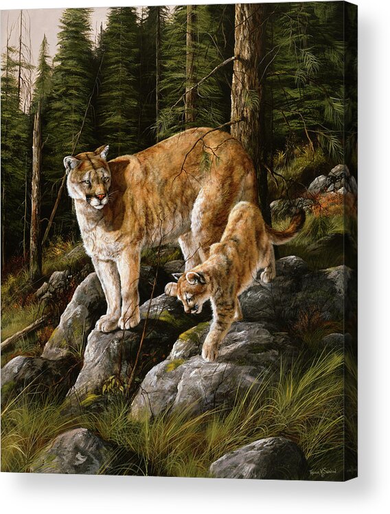 Mountain Lions Acrylic Print featuring the painting Mother And Child (mt. Lions) by Trevor V. Swanson