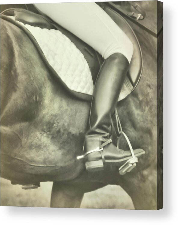 And Acrylic Print featuring the photograph Riding Aids by JAMART Photography