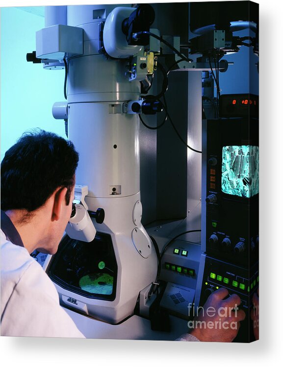 Person Acrylic Print featuring the photograph Scanning Electron Microscope by Steve Allen/science Photo Library