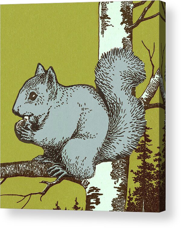 Animal Acrylic Print featuring the drawing Squirrel in Tree by CSA Images