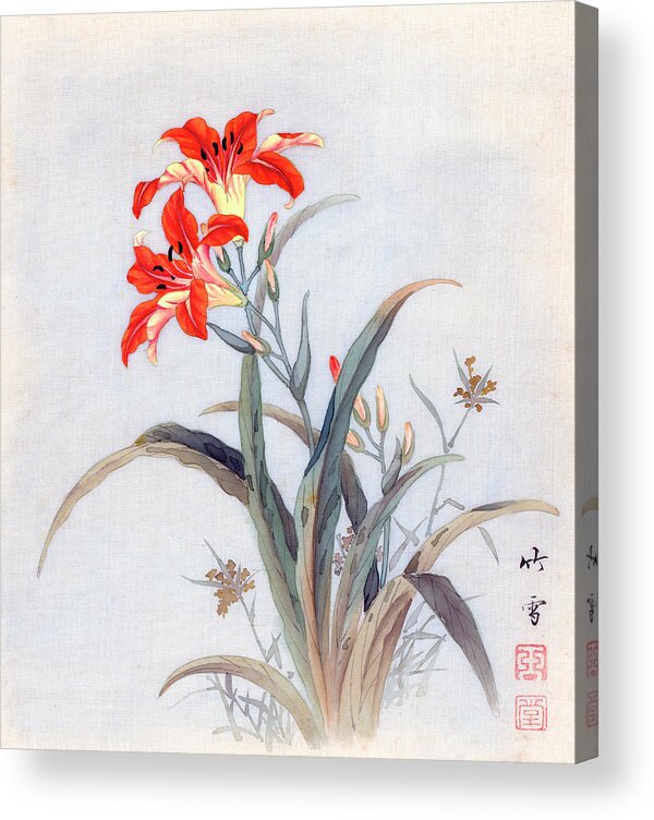Chikutei Acrylic Print featuring the painting Tiger Lily by Chikutei