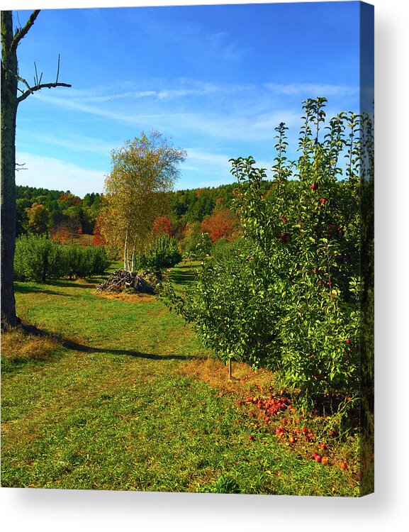 Autumn Acrylic Print featuring the photograph Autumn New England #1 by Geoff Jewett