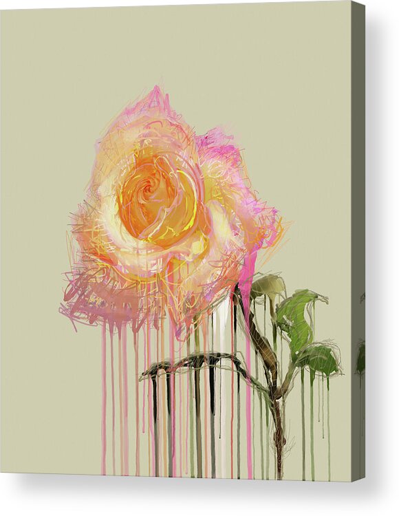 Rose Acrylic Print featuring the mixed media A Rose By Any Other Name - Cream by BFA Prints