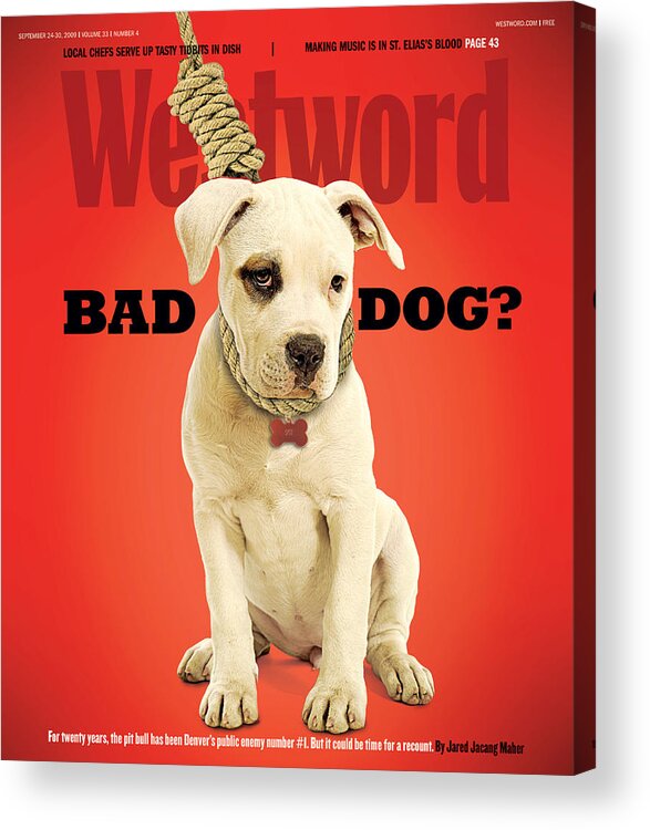 Westword Acrylic Print featuring the digital art Bad Dog? by Westword