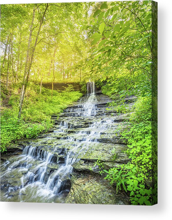 Fall Hollow Acrylic Print featuring the photograph Early Morning Glow At Falls Hollow by Jordan Hill