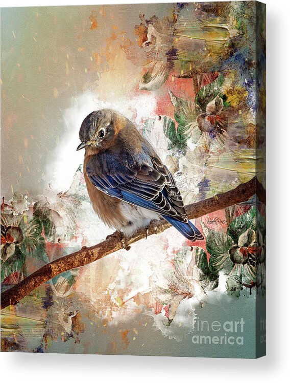 Bluebird Acrylic Print featuring the photograph Eastern Bluebird botanical styled art photo by Sandra Rust