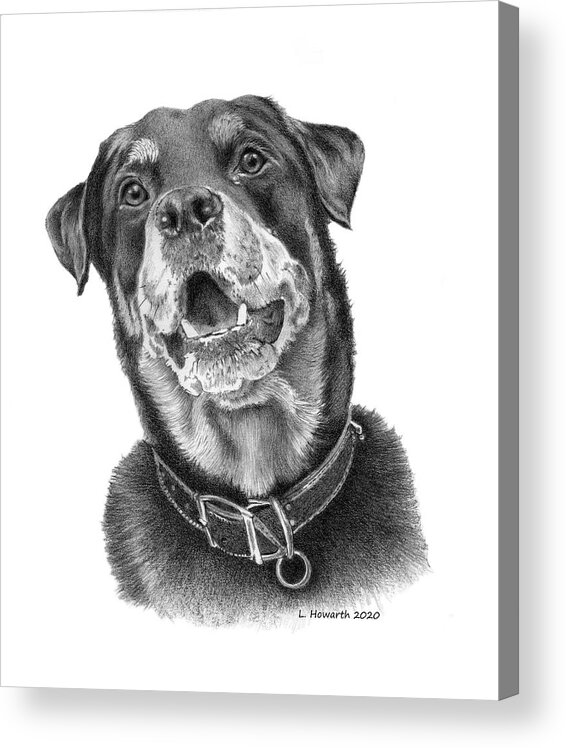 Dog Acrylic Print featuring the drawing Faithful Friend by Louise Howarth
