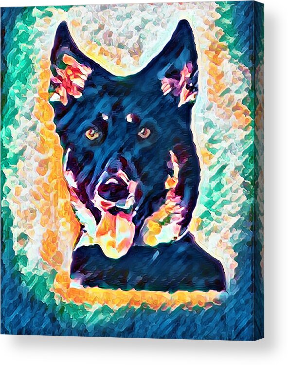  Acrylic Print featuring the photograph German Shepherd Commission by Bellesouth Studio