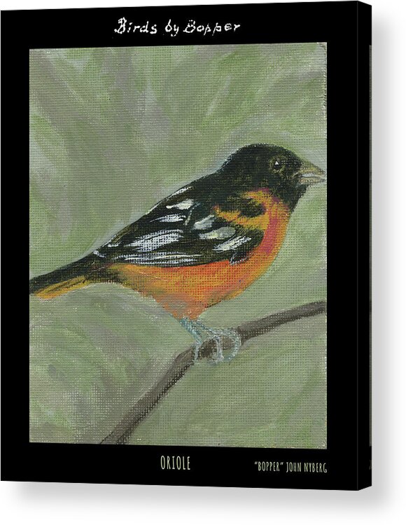 Bird Acrylic Print featuring the painting Oriole by Tim Nyberg