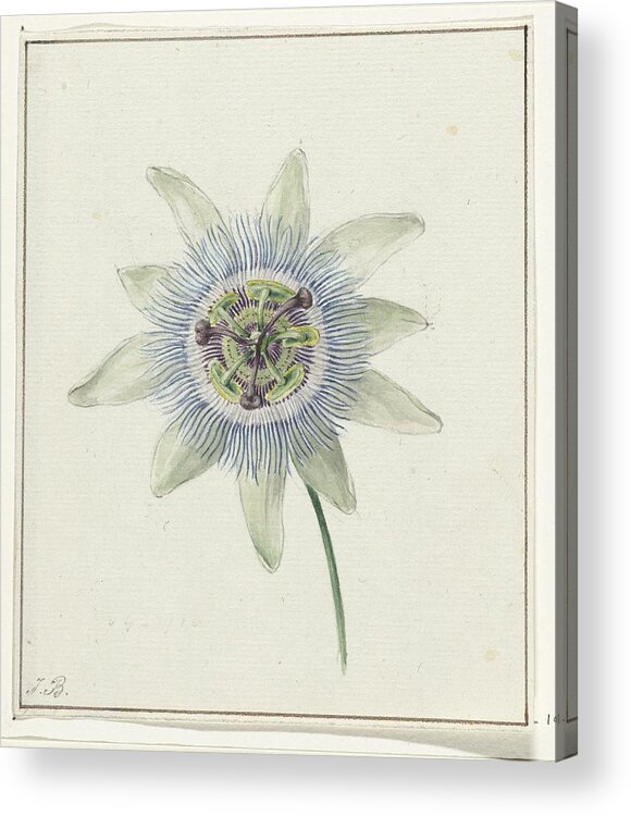 Vintage Acrylic Print featuring the painting Passion Flower, Jean Bernard, c. 1825 by MotionAge Designs
