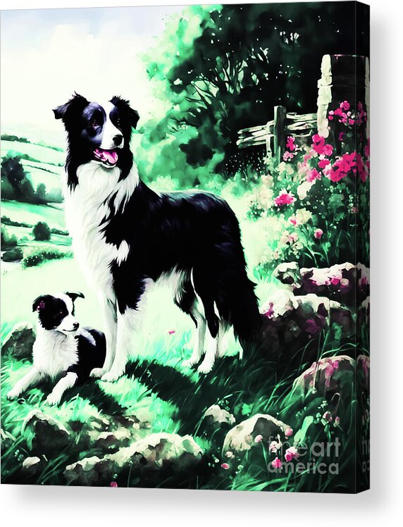 Animals Acrylic Print featuring the digital art The Beautiful Border Collies by Eddie Eastwood