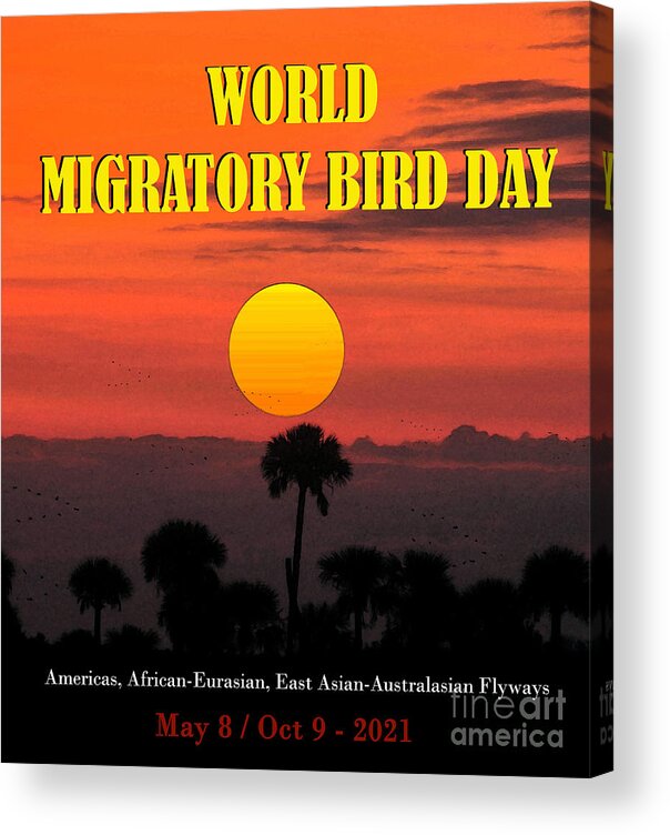 World Migratory Bird Day Acrylic Print featuring the mixed media World Migratory Bird Day 2021 by David Lee Thompson