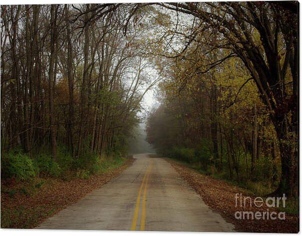 Autumn Acrylic Print featuring the photograph Autumn Road by Inspired Arts