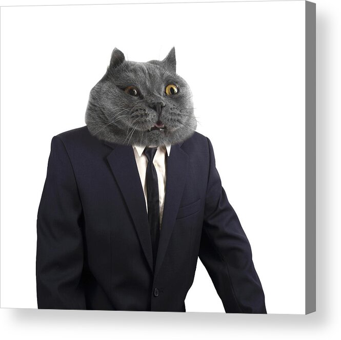 Funny Boss Cat  Acrylic  Print by Alexey Konovalenko