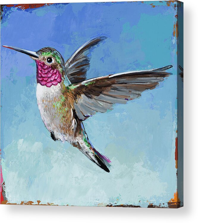 Hummingbird 6 Acrylic Print by David Palmer