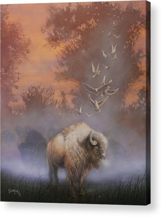 White Buffalo Acrylic Print featuring the painting White Buffalo Spirit by Tom Shropshire
