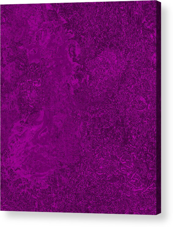 Violet Acrylic Print featuring the painting Violet View by Steve Fields
