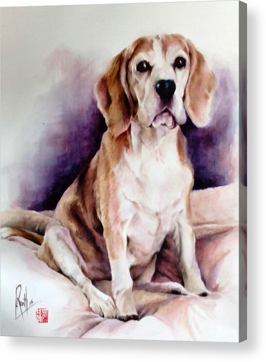 Watercolour Beagle Portrait Acrylic Print featuring the painting I am adorable by Alan Kirkland-Roath