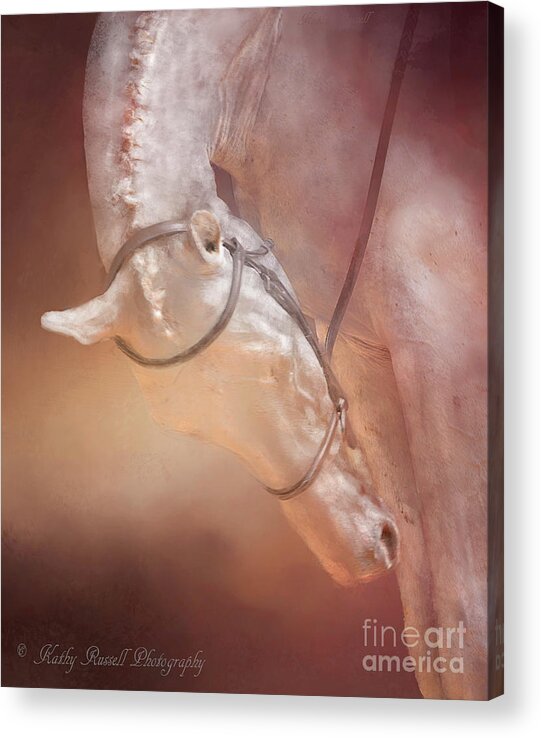 Horse Acrylic Print featuring the photograph Head Down by Kathy Russell