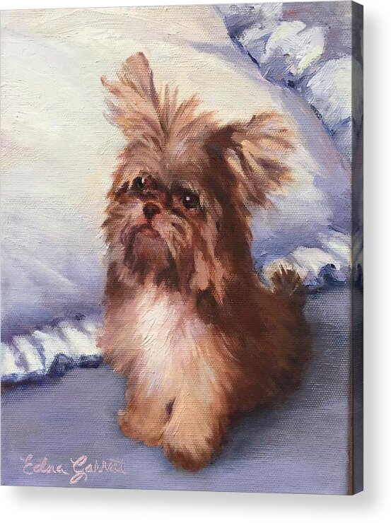 Puppy Acrylic Print featuring the painting Sherry's Coco by Edna Garrett