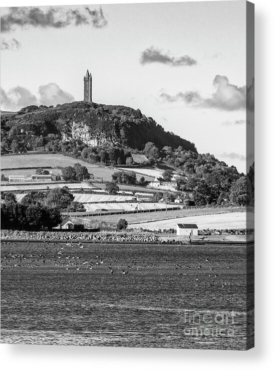 Castle Espie Acrylic Print featuring the photograph Scrabo Tower by Jim Orr