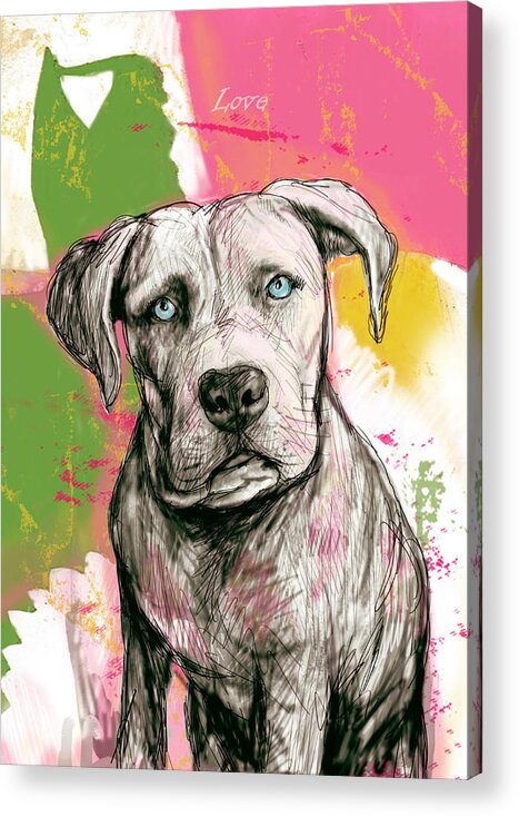 Dog Stylised Pop Morden Art Drawing Sketch Portrait. Pet Acrylic Print featuring the drawing Dog stylised pop modern art drawing sketch portrait #6 by Kim Wang