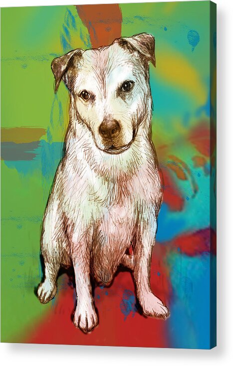 Dog Stylised Pop Morden Art Drawing Sketch Portrait. Pet Acrylic Print featuring the drawing Dog stylised pop modern art drawing sketch portrait by Kim Wang