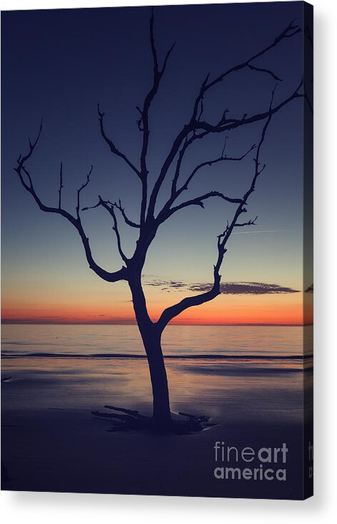 Driftwood Acrylic Print featuring the photograph Driftwood Beach 1 by Tim Wemple