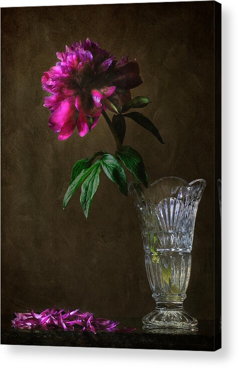 Peony Acrylic Print featuring the photograph Letting Go by Carol Eade