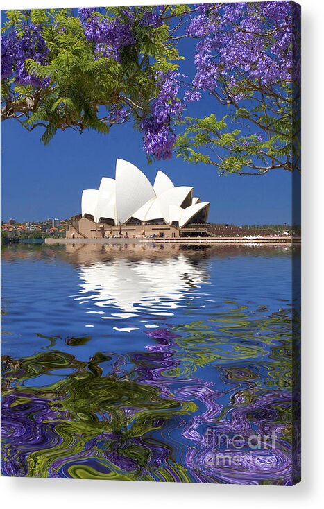 Sydney Opera House Acrylic Print featuring the photograph Sydney Opera House with jacaranda reflection by Sheila Smart Fine Art Photography