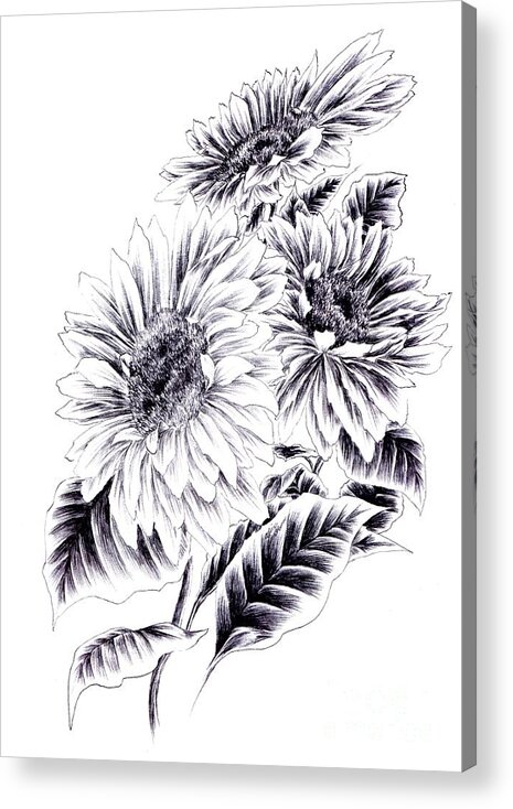 Sunflower Acrylic Print featuring the drawing Towards the Light by Alice Chen