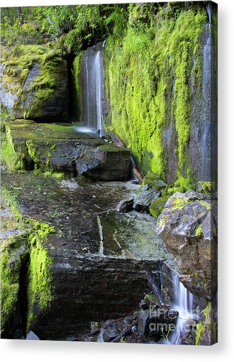 Idaho Acrylic Print featuring the photograph Tunnel 33 Falls by Idaho Scenic Images Linda Lantzy