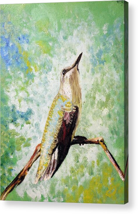 Ruby Throated Acrylic Print featuring the painting The Perch by Abbie Shores