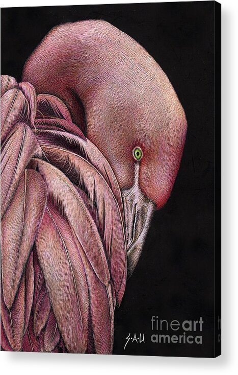 Flamingo Acrylic Print featuring the drawing Pretty in Pink #2 by Sheryl Unwin