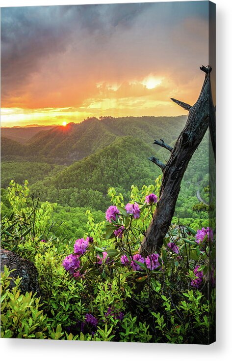 Sunset Acrylic Print featuring the photograph Breaks Interstate Park KY VA Sunset Scenic Rhododendron by Robert Stephens