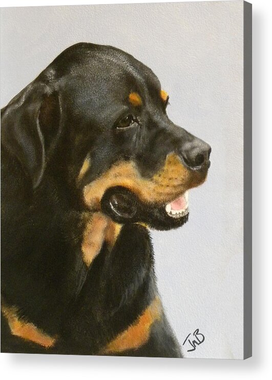 Dog Acrylic Print featuring the painting Bruno the Rottweiller #1 by Janice M Booth