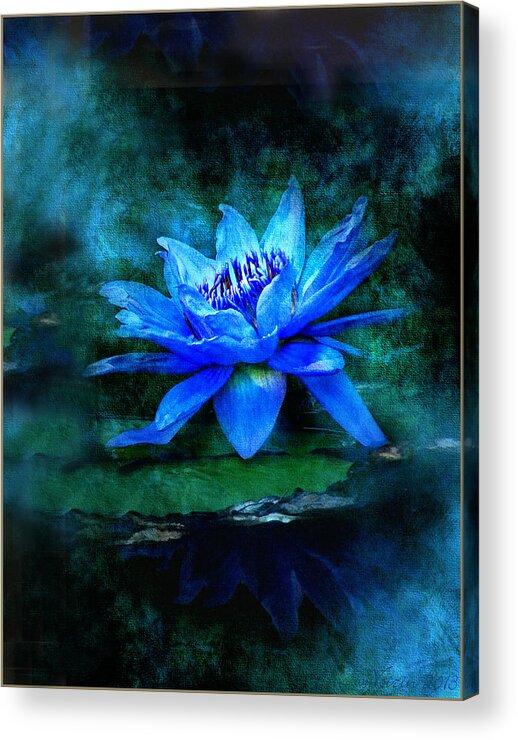 Blue Mist - Bill Voizin Acrylic Print featuring the photograph Blue Mist by Bill Voizin 