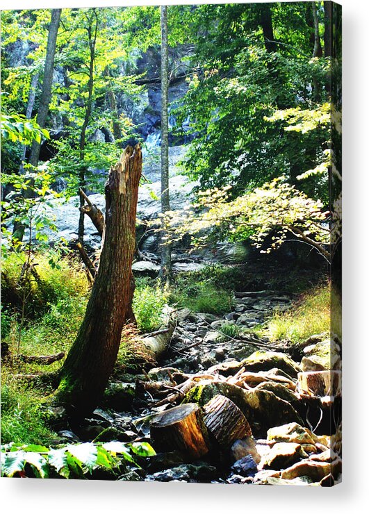 Dry Creek Acrylic Print featuring the photograph Dry Creek by M Three Photos