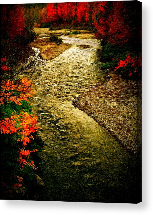 Fall Acrylic Print featuring the photograph Stream by Bill Howard