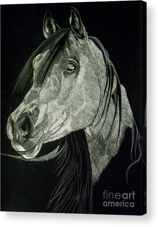 Horse Acrylic Print featuring the drawing April the Horse by Yenni Harrison