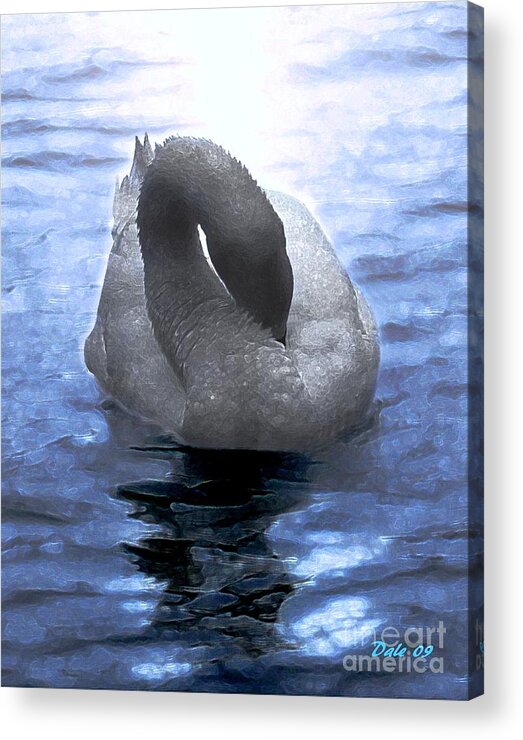 Seabirds Acrylic Print featuring the digital art Magical Swan by Dale  Ford