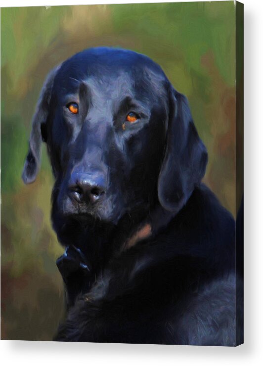 Labrador Acrylic Print featuring the painting Black Lab Portrait by Jai Johnson