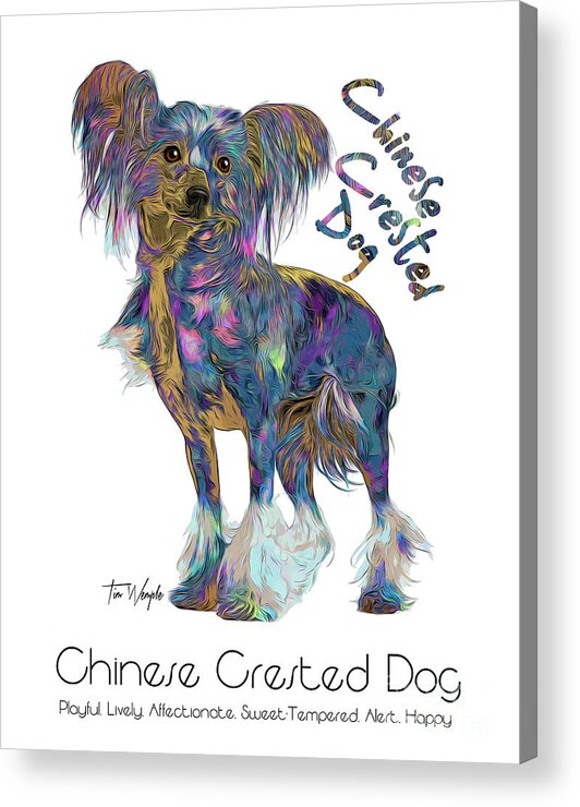 Chinese Crested Dog Acrylic Print featuring the digital art Chinese Crested Dog Pop Art by Tim Wemple